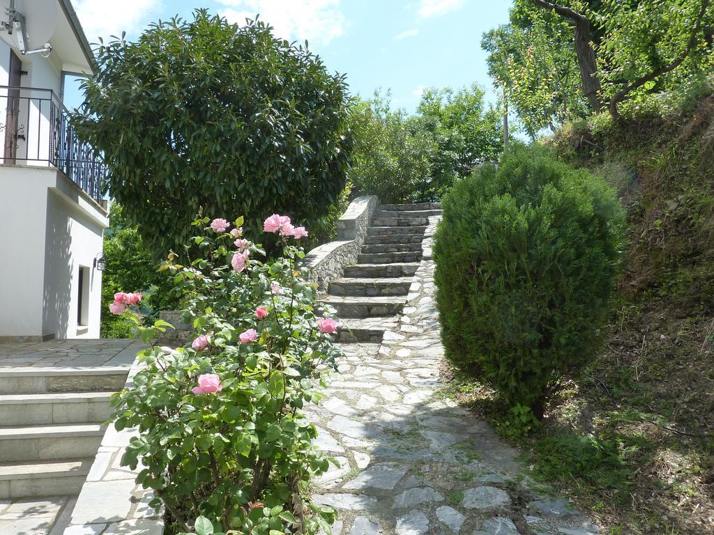 Villa Thea Makrirrákhi Exteriör bild